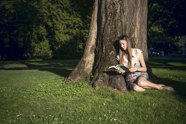 Όμορφη Νεαρή Φοιτήτρια Μακριά Μαλλιά Διαβάζει Ένα Βιβλίο Που Κάθεται — Φωτογραφία Αρχείου
