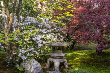 Gölü renkli ağaçlar ve bitkilerle dolu huzurlu ve güzel bir Japon bahçesi. 