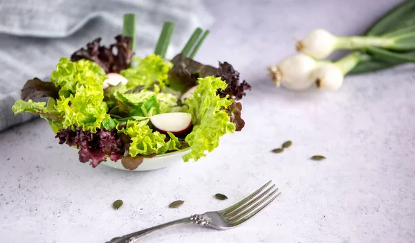 用新鲜的绿色沙拉 有机绿色和红色生菜 萝卜和南瓜籽 包裹小碗 清淡的春餐 健康的饮食 — 图库照片