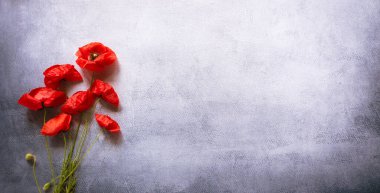 Yan tarafında kırmızı gelincik çiçekleri olan güzel desenli düz bir arka plan. Metin için boşluk, mevsimlik tebrik kartı. 