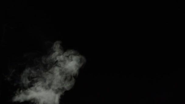 Any white smoke Any white smoke