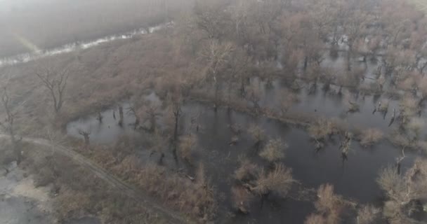 Döda Träsket Vintern Ingen Snö 10A Drone Flyger Lågt Över — Stockvideo