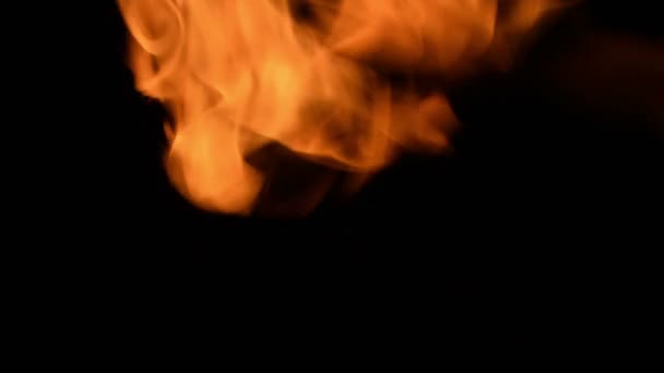 Brand Blazes Zwarte Achtergrond Slow Motion Gemakkelijk Aan Video Toevoegen — Stockvideo