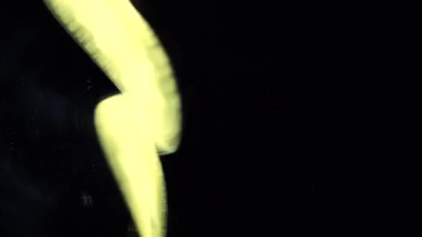 Z-现金金币在黑色镜面上旋转 — 图库视频影像