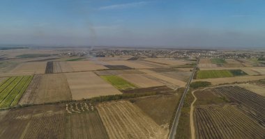 Uçsuz bucaksız Voyvodina ekinleri, insansız hava aracı ateşiyle yanıyor.