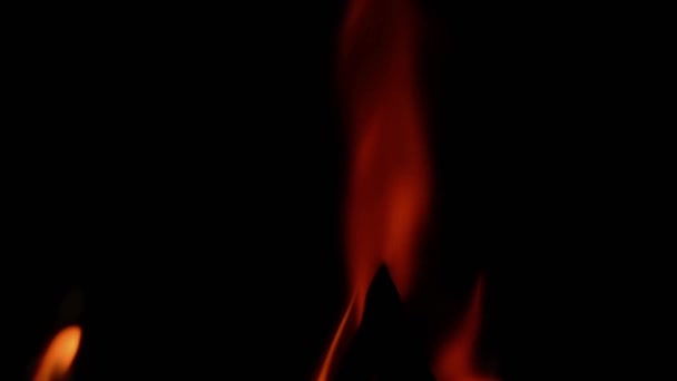 Vlammen Branden Het Scherm Zwarte Achtergrond Bijzondere Werking — Stockvideo