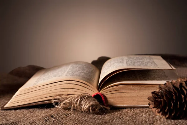 Unfolded Book Surface Burlap Pine Cone — Stock Photo, Image