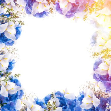 Şaşırtıcı kelebek ve çiçek