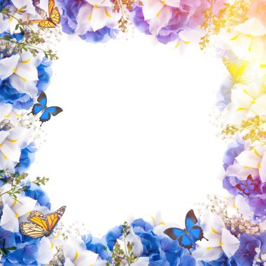 Şaşırtıcı kelebek ve çiçek