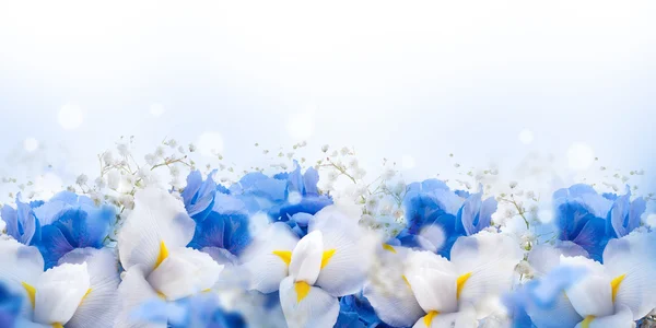 Erstaunliche Schmetterlinge und Blumen — Stockfoto