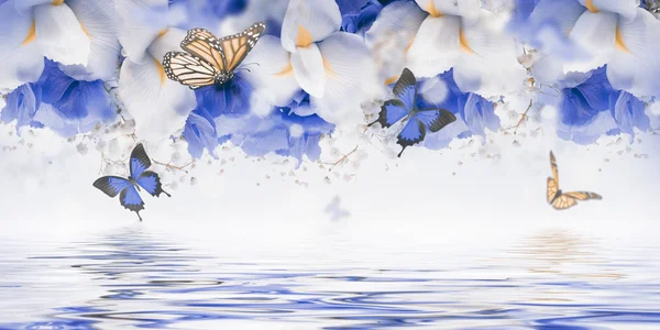Increíbles mariposas y flores — Foto de Stock