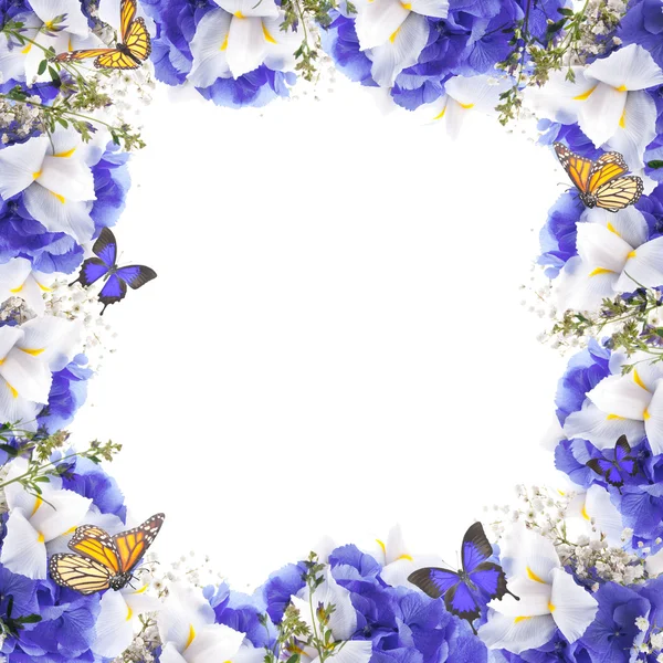 令人惊异的蝴蝶和花朵 — 图库照片