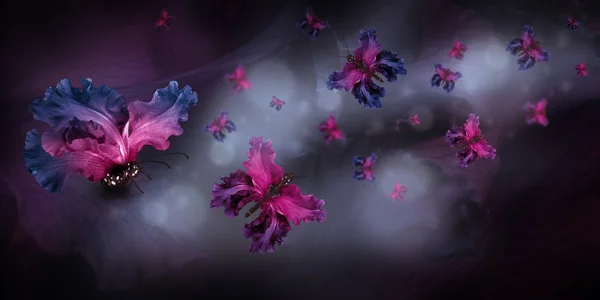 Butterflies fairies of flowers — Stockfoto