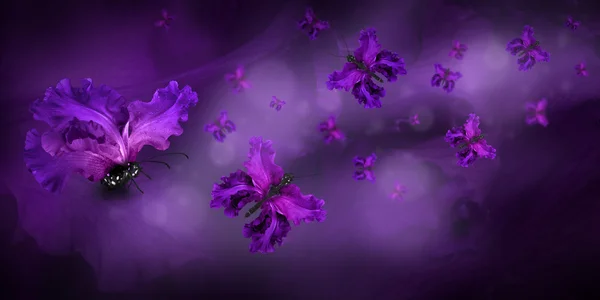 Borboletas fadas de flores — Fotografia de Stock