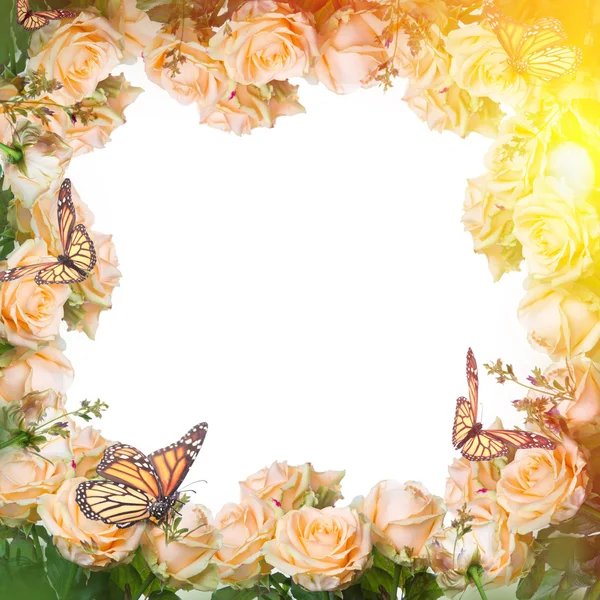 Frame with yellow roses and butterflies — Stockfoto