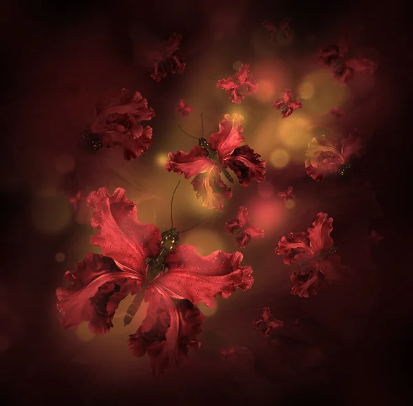 นางฟ้าผีเสื้อของดอกไม้ — ภาพถ่ายสต็อก
