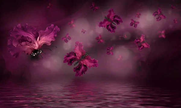 Vlinders feeën van bloemen — Stockfoto