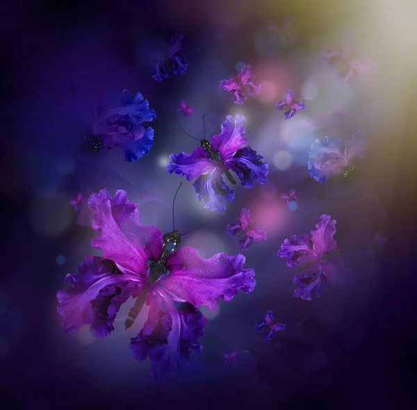 Butterflies fairies of flowers — Stockfoto