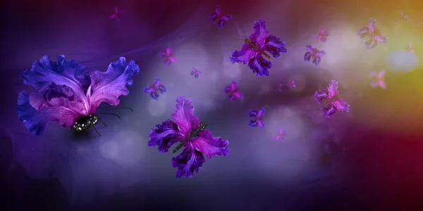 Butterflies fairies of flowers — Stockfoto