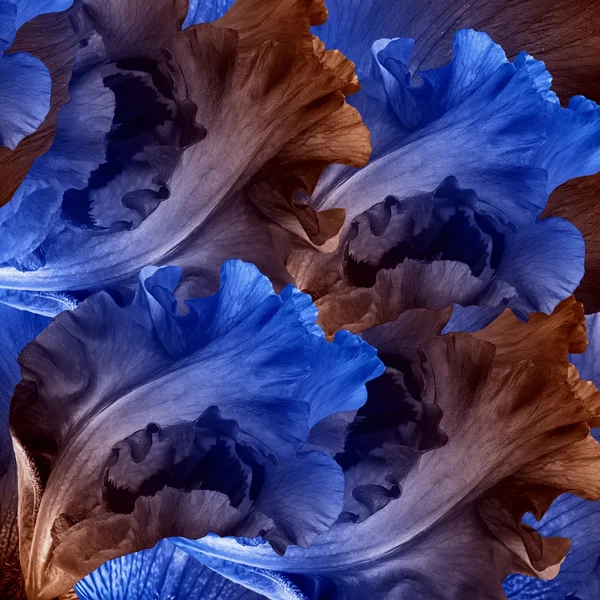Uimitoare zână de flori — Fotografie, imagine de stoc