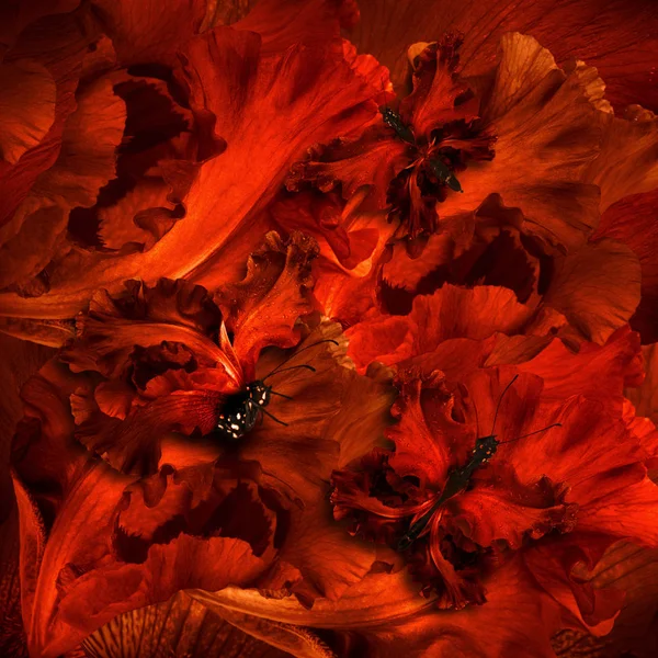 Geweldige vlinder sprookje van bloemen — Stockfoto