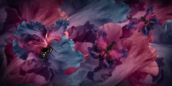 Incroyable fée des fleurs papillon — Photo