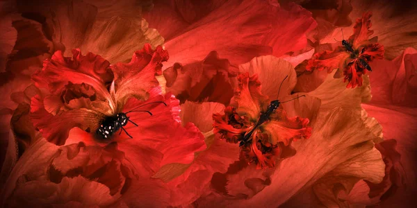 Amazing butterfly víla květin — Stock fotografie