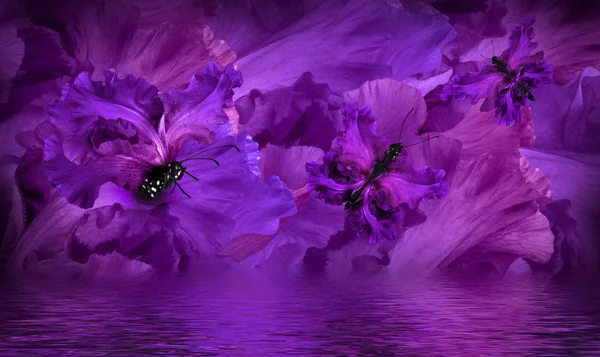 花の素晴らしい蝶の妖精 — ストック写真