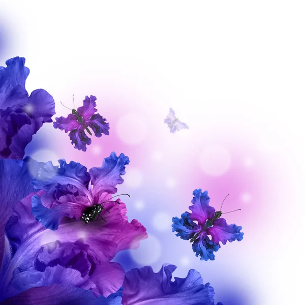 Niesamowite wróżka motyl kwiaty — Zdjęcie stockowe