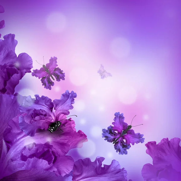 Erstaunliche Schmetterling Fee der Blumen — Stockfoto