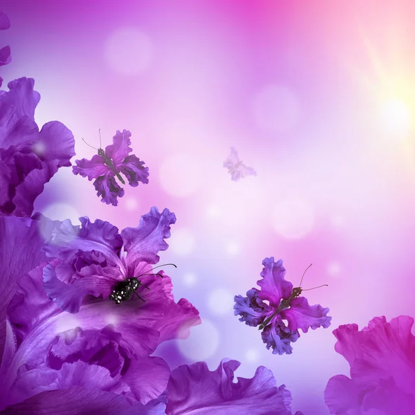 Удивительная цветочная сказка бабочки — стоковое фото