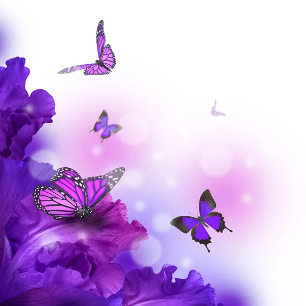 Amazing butterfly fairy of flowers — Stock Photo, Image