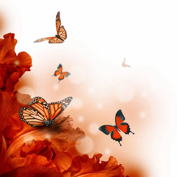 Increíble mariposa hada de las flores —  Fotos de Stock
