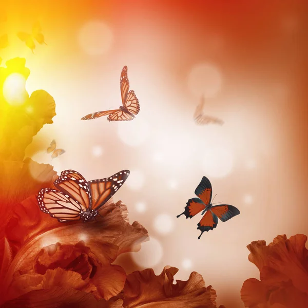 Geweldige vlinder sprookje van bloemen — Stockfoto