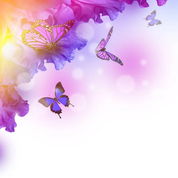 Increíble mariposa hada de las flores —  Fotos de Stock