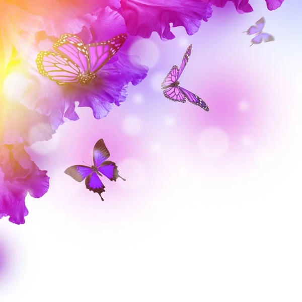 Incroyable fée des fleurs papillon — Photo