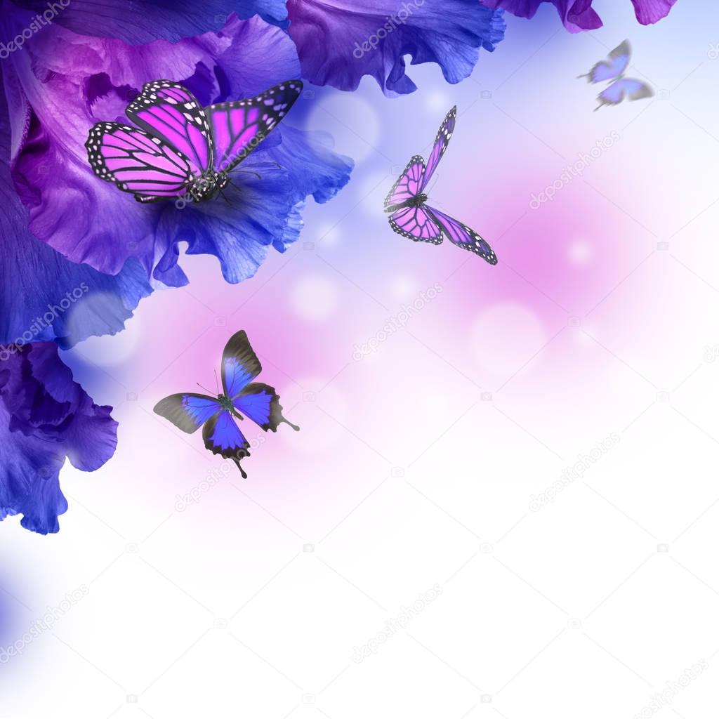 Amazing butterfly fairy of flowers