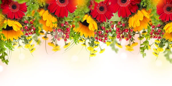 Erstaunlicher Hintergrund mit Gänseblümchen und Sonnenblumen — Stockfoto