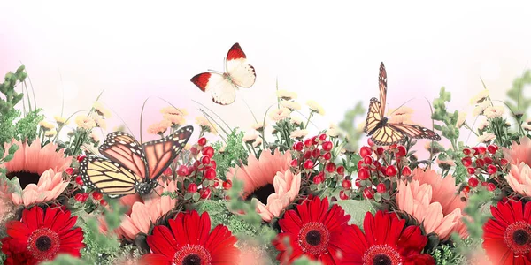 Erstaunlicher Hintergrund mit Gänseblümchen und Sonnenblumen — Stockfoto