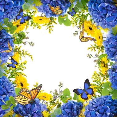 inanılmaz çiçek kartı ortancaları ve kelebekler