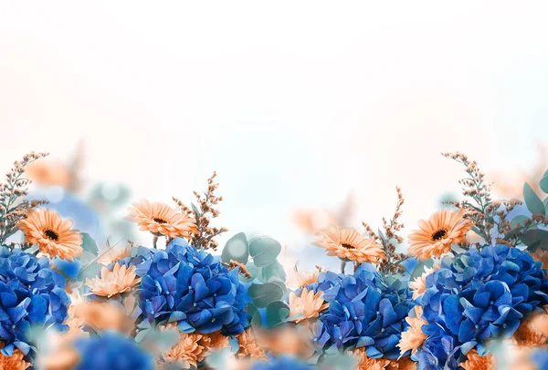 Cartão floral com margaridas e hortênsias — Fotografia de Stock