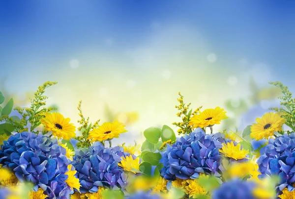 Blumenkarte mit Margeriten und Hortensien — Stockfoto