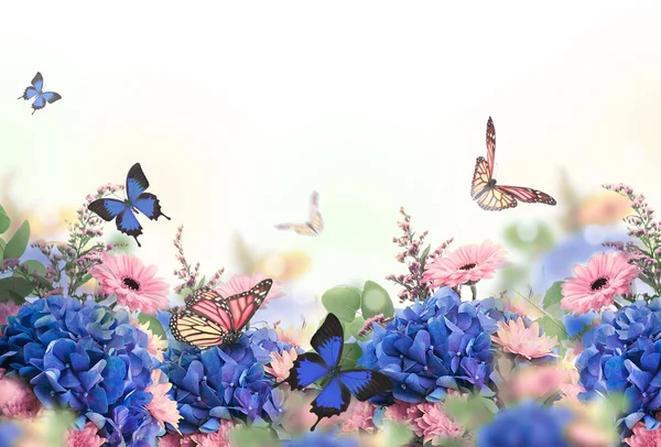 Blommig kort med prästkragar och färgade fjärilar — Stockfoto