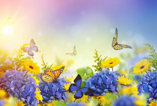 Karta kwiatowy z stokrotki i kolorowe motyle — Zdjęcie stockowe