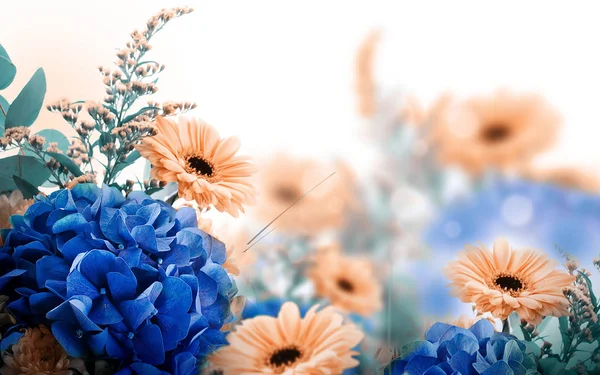 Blomsterkort med daisier og hortensiaer – stockfoto