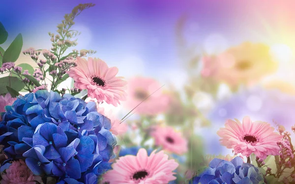Květinové karta s sedmikrásky a hortenzie — Stock fotografie