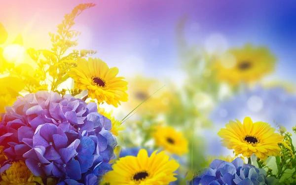 Floral kaart met madeliefjes en hortensia 's — Stockfoto