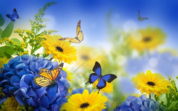Cartão floral com margaridas e borboletas — Fotografia de Stock