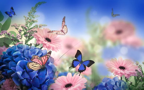 Floral kaart met madeliefjes en vlinders — Stockfoto