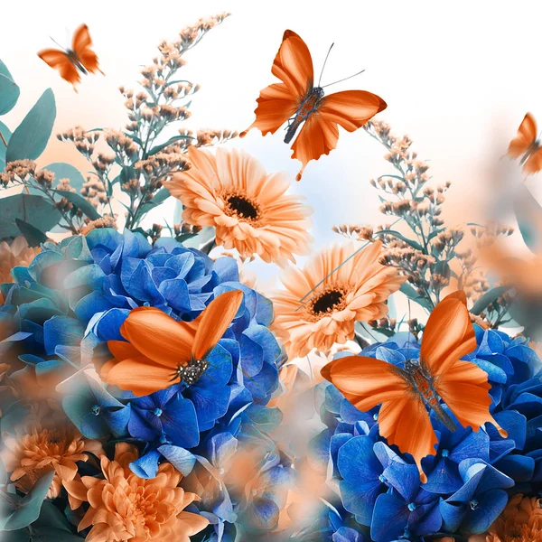 Cartão floral com borboletas sentado em hortênsias — Fotografia de Stock